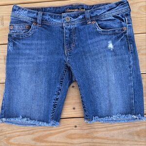 American Eagle Outfitters Women's Blue Denim Shorts